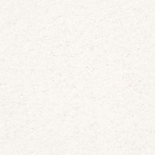 Shaw Floors Roll Special Xz057 Purity