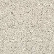 Shaw Floors Roll Special Xz057 Mist