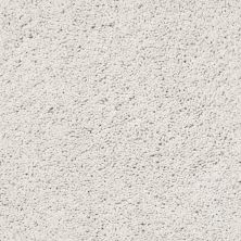 Shaw Floors Roll Special Xz057 Glacier Ice