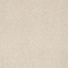 Shaw Floors Roll Special Xz072 Patience 00133_XZ072