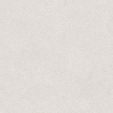 Shaw Floors Roll Special Xz072 Dove 00151_XZ072
