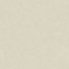 Shaw Floors Roll Special Xz072 Modern Loft 00154_XZ072