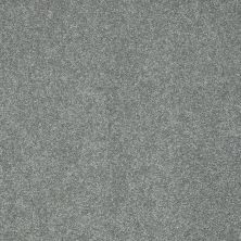 Shaw Floors Roll Special Xz072 Reflection 00541_XZ072