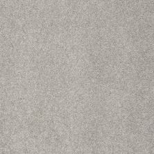 Shaw Floors Roll Special Xz072 Anchor 00546_XZ072