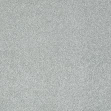Shaw Floors Roll Special Xz073 Pewter 00551_XZ073