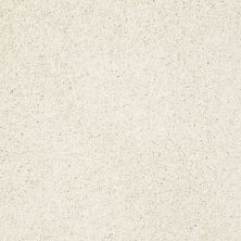 Shaw Floors Roll Special Xz074 Final Straw