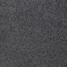 Shaw Floors Roll Special Xz074 Urban Studio