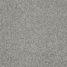 Shaw Floors Roll Special Xz074 Flint