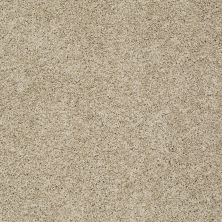 Shaw Floors Roll Special Xz074 Hazelnut