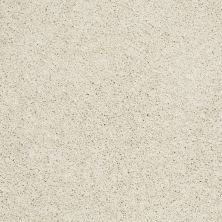 Shaw Floors Roll Special Xz076 Modest 00116_XZ076