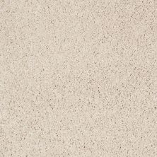 Shaw Floors Roll Special Xz076 Biscotti 00131_XZ076