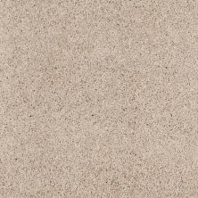 Shaw Floors Roll Special Xz076 Neutral Ground 00134_XZ076