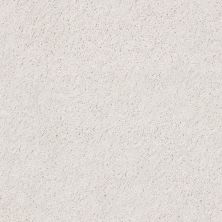 Shaw Floors Roll Special Xz076 Dove 00151_XZ076
