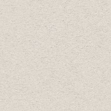 Shaw Floors Roll Special Xz076 Modern Loft 00154_XZ076