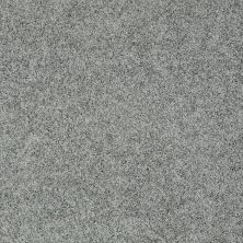 Shaw Floors Roll Special Xz076 Reflection 00541_XZ076