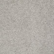 Shaw Floors Roll Special Xz076 Anchor 00546_XZ076