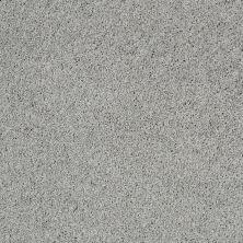 Shaw Floors Roll Special Xz076 Pewter 00551_XZ076