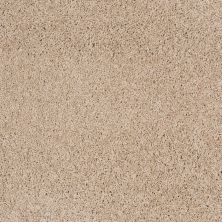 Shaw Floors Roll Special Xz076 Hickory 00711_XZ076