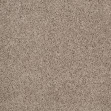 Shaw Floors Roll Special Xz076 Threshold 00732_XZ076