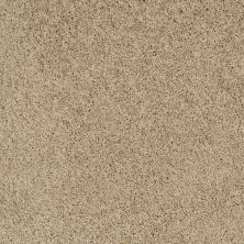 Shaw Floors Roll Special Xz076 Hazelnut 00750_XZ076