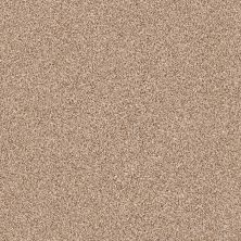 Shaw Floors Roll Special Xz078 Sienna 00761_XZ078