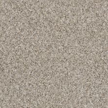 Shaw Floors Roll Special Xz107 Heavy Frost