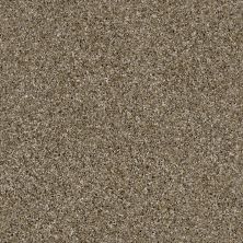 Shaw Floors Roll Special Xz107 Raw