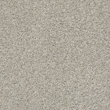 Shaw Floors Roll Special Xz114 Winter Birch