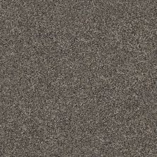 Shaw Floors Value Collections Xz145 Net Beige Wave 00106_XZ145