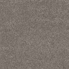 Shaw Floors Value Collections Xz147 Net Fleeting Fawn 00105_XZ147