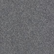 Shaw Floors Value Collections Xz149 Net Heather Gray 00503_XZ149
