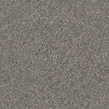 Shaw Floors Roll Special Xz150 Fleeting Fawn 00105_XZ150