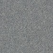 Shaw Floors Roll Special Xz150 Harbor Mist 00520_XZ150