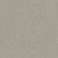 Shaw Floors Xz154 Greige 00106_XZ154