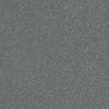 Shaw Floors Roll Special Xz156 Concrete