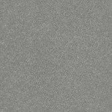 Shaw Floors Roll Special Xz156 Dusty Trail