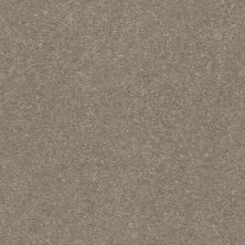 Shaw Floors Value Collections Xz157 Net Natural Contour