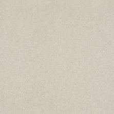 Shaw Floors Value Collections Xz159 Net Minimalist 00100_XZ159