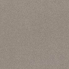 Shaw Floors Value Collections Xz159 Net Greige 00106_XZ159