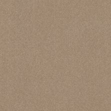 Shaw Floors Roll Special Xz160 Raw Lumber 00102_XZ160