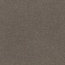 Shaw Floors Roll Special Xz160 Pewter 00701_XZ160