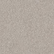 Shaw Floors Roll Special Xz164 Winter Dunes 00123_XZ164