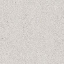 Shaw Floors Xz175 Snowfall