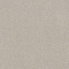 Shaw Floors Xz175 Thoughtful