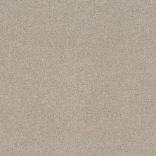 Shaw Floors Xz175 Crochet