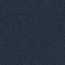 Shaw Floors Xz175 Ocean Villa