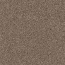 Shaw Floors Xz175 Tumbleweed