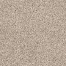 Shaw Floors Xz191 Kidskin