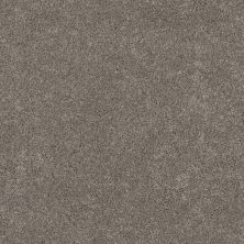 Shaw Floors Pet Perfect Plus Xz192 Dark Maple