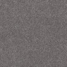 Shaw Floors Xz193 Silver Lining